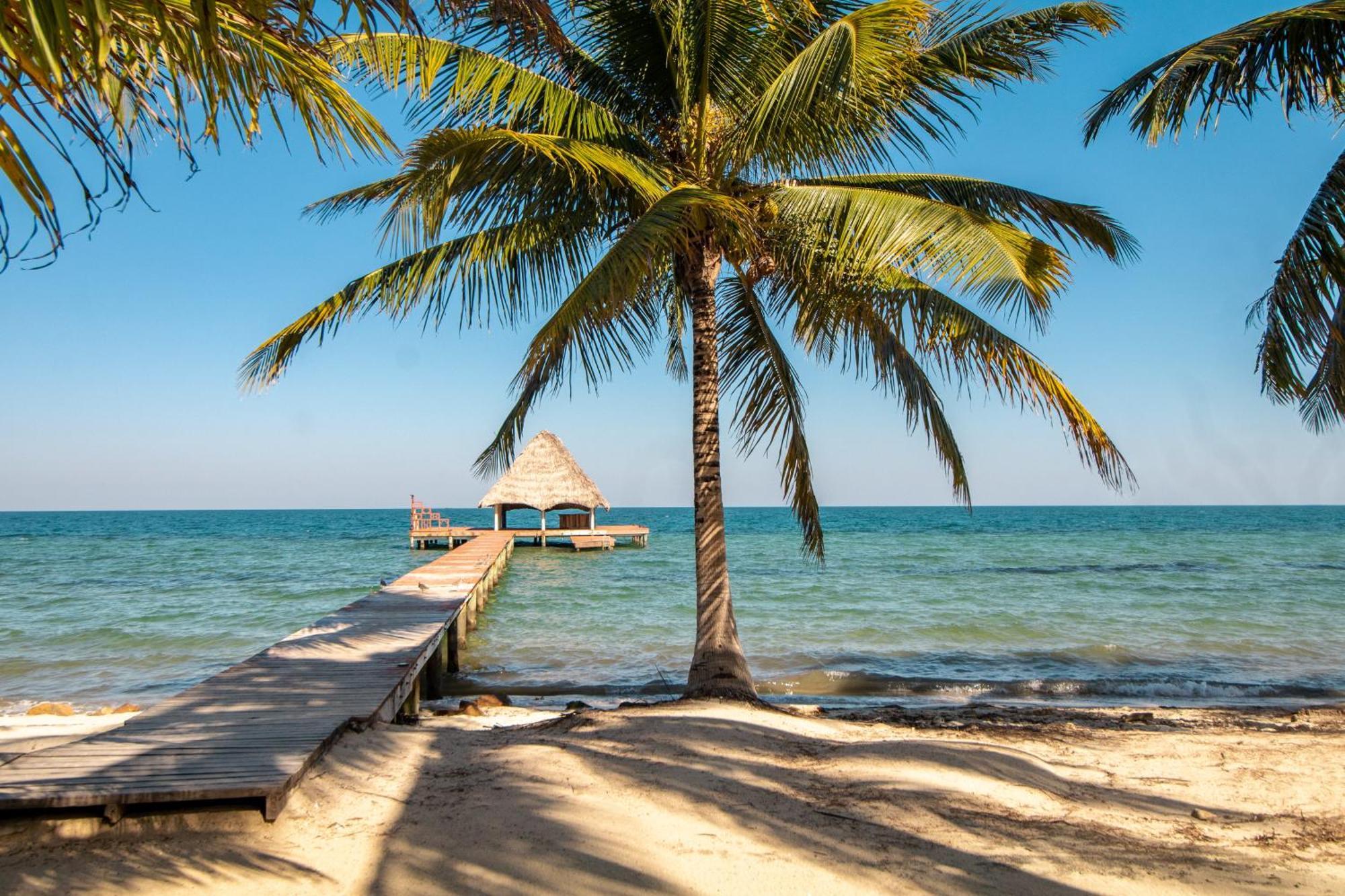 Condo #24 @ Beachside Villas Placencia Εξωτερικό φωτογραφία